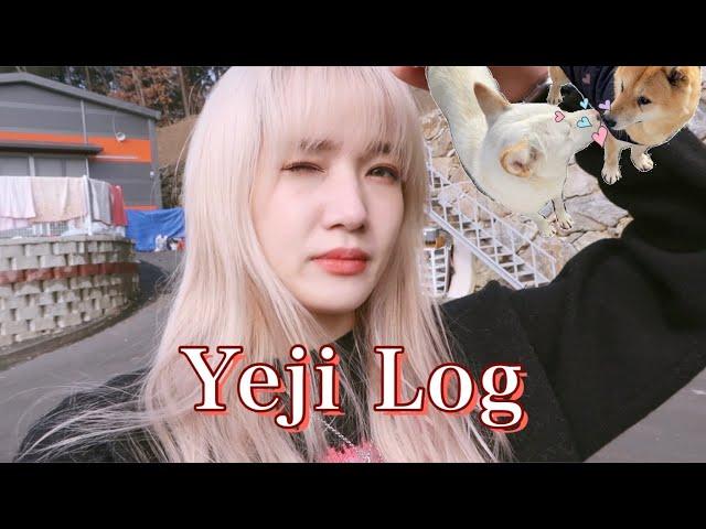 Yeji Log #2 (유기견 보호소 봉사)