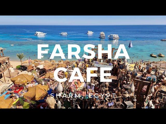 Farsha Cafe | Sharm El Sheikh, Egypt ► Video guide, 2 min. | 4K