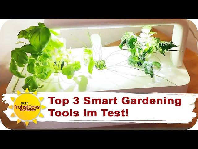 Der große Indoor Garten Test: Kräuter anbauen für Gartenmuffel! | SAT.1 Frühstücksfernsehen