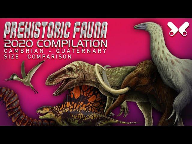 Prehistoric Animals Size Comparison . 2020 COMPILATION. Cambrian- Quaternary