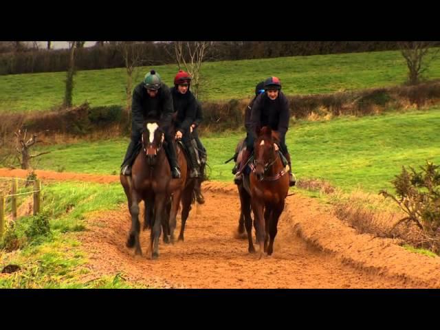 IRELAND LAND OF THE HORSE 2016