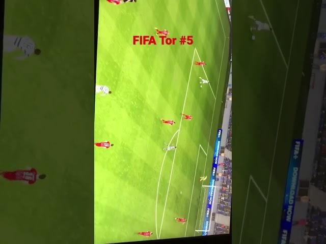 FIFA Tor #5