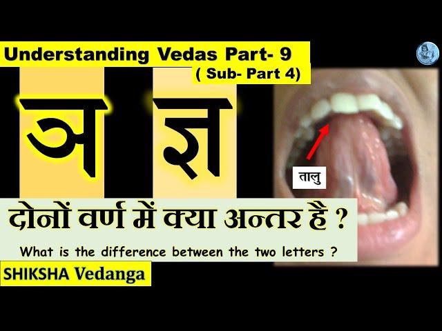 Pronunciation place of  इ ,चवर्ग ,य ,श Difference between ञ , ज्ञ उच्चारण (Practical demonstration)