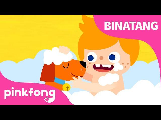 Binatangku, Sahabatku yang kucinta | Lagu Binatang | Pinkfong dan Baby Shark