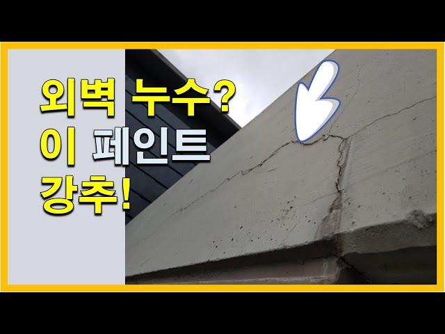 외벽누수? 이 페인트 강추!