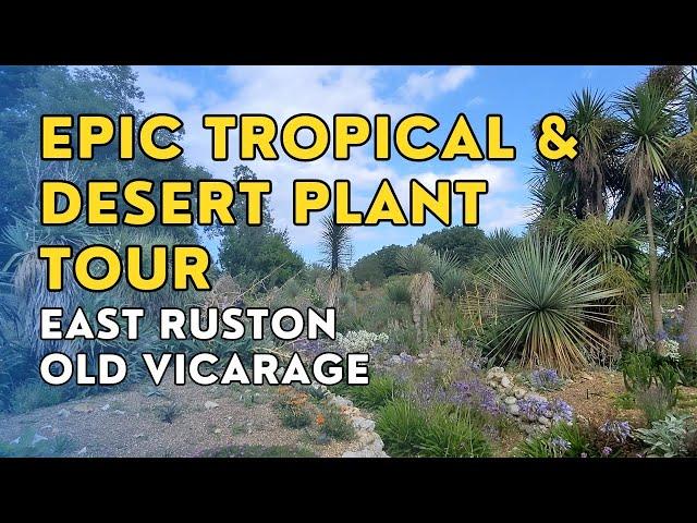 Epic tropical & desert plant tour! (A walking talking look around East Ruston Old Vicarage)