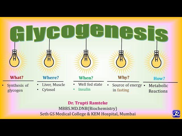 12: Glycogenesis | Carbohydrate Metabolism | Biochemistry | N'JOY Biochemistry