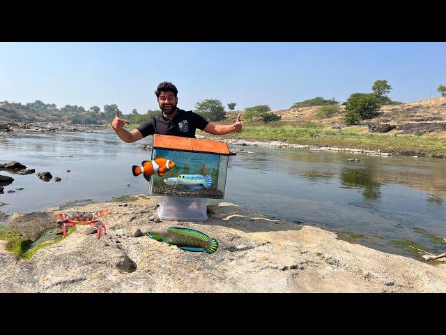 500 Se Jayda Fish Mile Aaj  #riverfishing