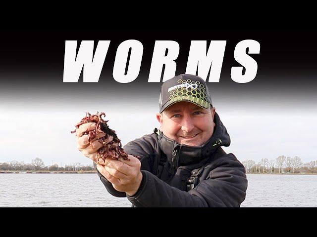 Breeding, Storing & Transporting WORMS!