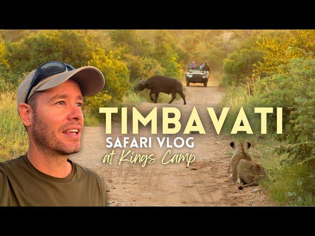 You won't believe what we saw at Kings Camp in the Timbavati! | Safari Vlog