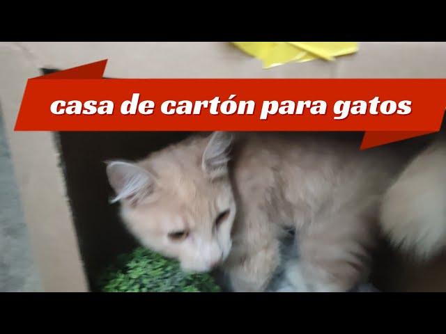 casa para gatos de cartón