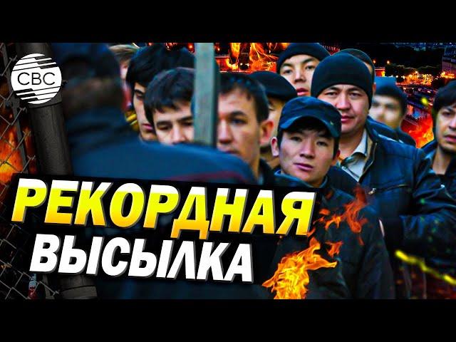 Массовая депортация мигрантов из России: Москва начала операцию против нелегалов