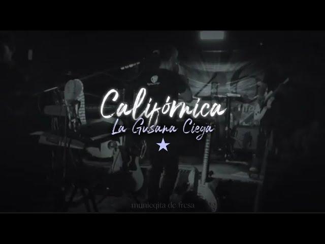 Califórnica - La Gusana Ciega (LETRA)