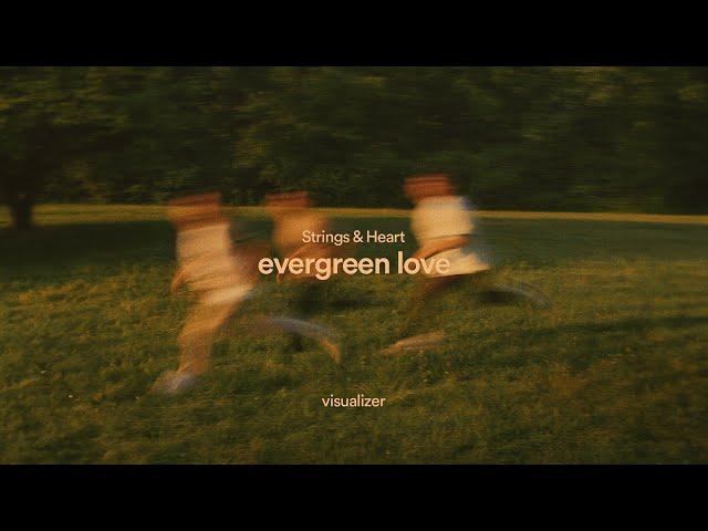 Strings And Heart - evergreen love [Visualizer]