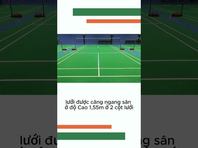 Hướng Dẫn Thiết Kế Sân Cầu Lông Chuẩn Quốc Tế: Tiêu Chuẩn, Kích Thước & Bản Vẽ Chi Tiết
