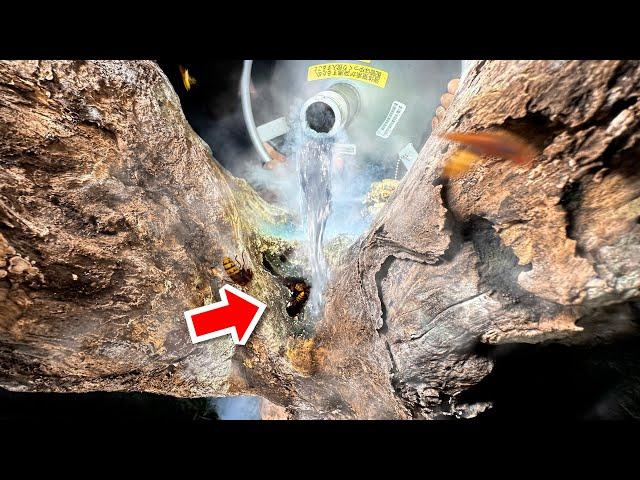 FREEZING HORNETS NEST with liquid nitrogen (-196℃/-320℉)【ENG SUB】