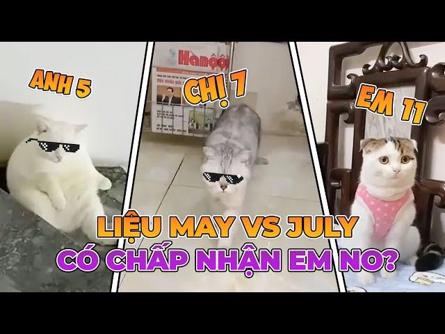 Liệu Anh 5 Với Chị 7 Có Chấp Nhận Em 11 | maly.gaugau