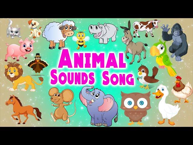 Guess the Animal Sounds | Animal Sounds Song | LittleKidsTV