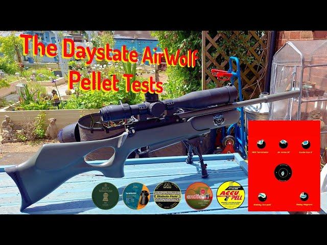 Daystate AirWolf pellet tests