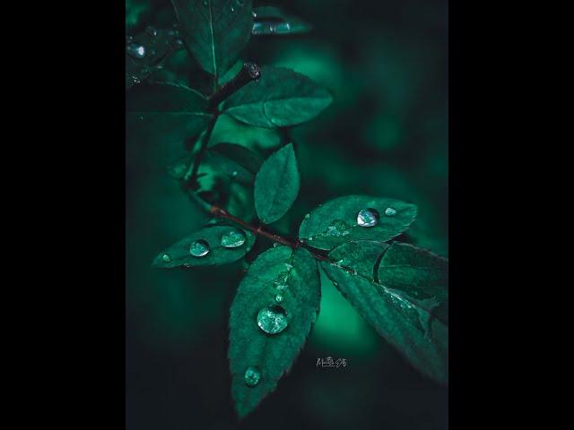 Mobile Photography And Editing |Complete Retouching | Manash Editz