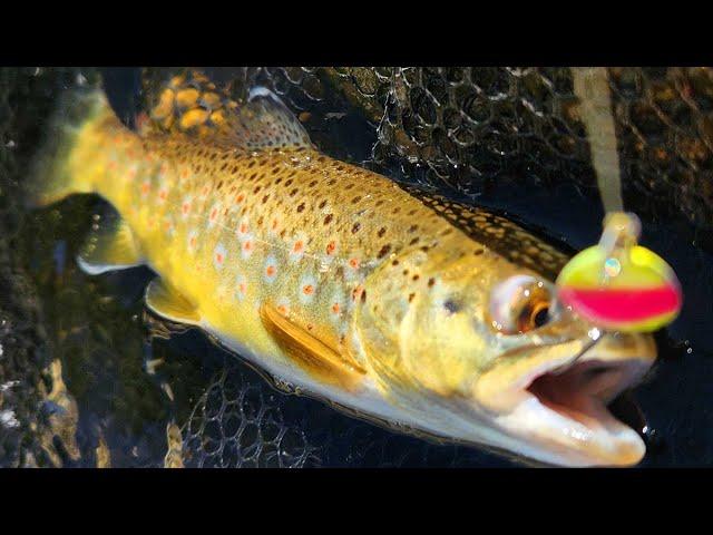 Pleasant Valley Power House Fishing Eastern Sierras