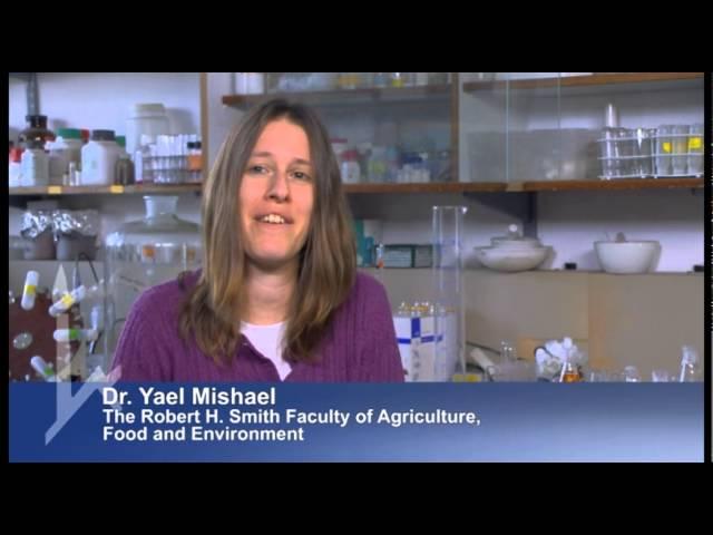 Hebrew University Scientists shine with agricultural solutions