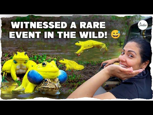 Witnessed a rare event in the wild | Actress Sadaa In Wild | Sadaa Wild Stories