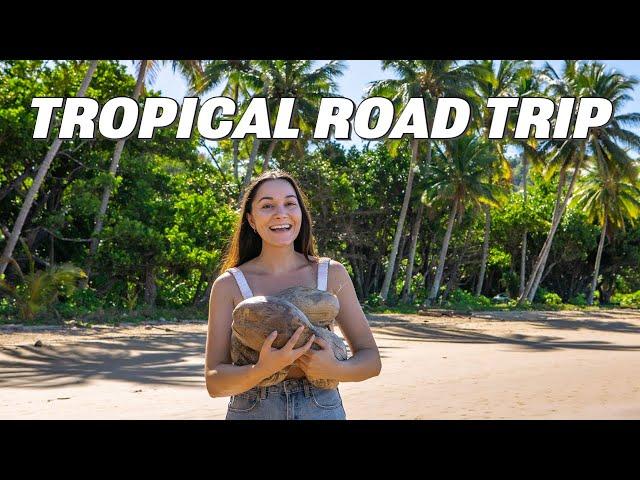 The Ultimate Tropical North Queensland Road Trip | Our Friends Join Us In Paradise!