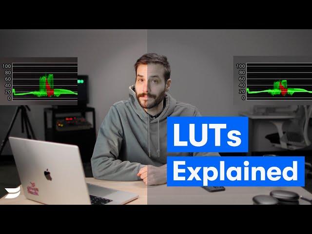 What is a LUT: Learn How To Take Your Videos to the Next Level