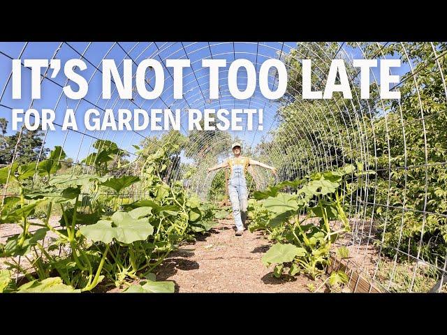 Summer garden maintenance to boost harvests!