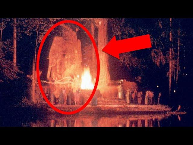 Bohemian Grove: 5 Mysteries of the Elite Meeting That Still Rules the World