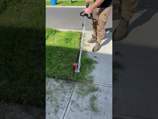 #lawncare Love these overgrown edges!  #overgrown #overgrownyard #lawn #lawncare