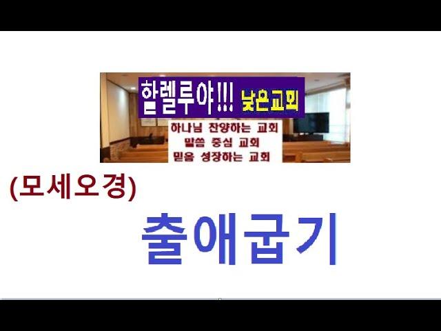 출애굽기 16장, 만나와 메추라기 (낮은교회 이영숙 목사 해설)