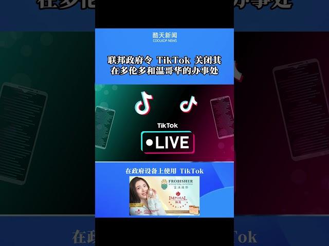 联邦政府令 TikTok 关闭其在多伦多和温哥华的办事处