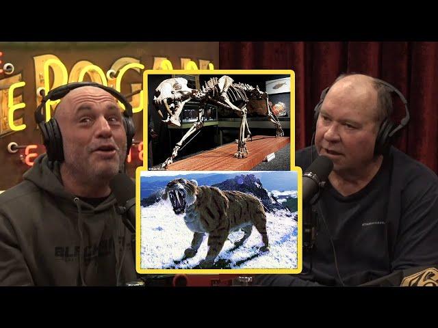 Joe Rogan: Sabre tooth tigers found in Alaska!! and Ancient fossils being stolen from him.