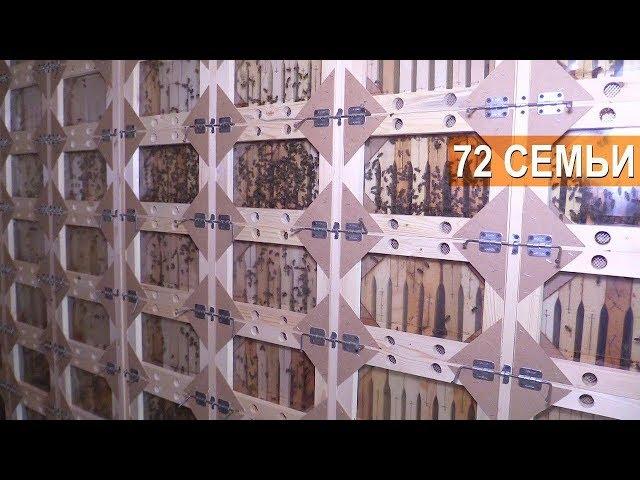 Пчеловодство. Кассетный павильон на 72 семьи. ПАСЕКА БЕРЕНДЕЙ