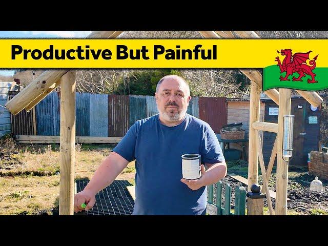 215. Productive but Painful - Living Alone in Wales (March 2025)