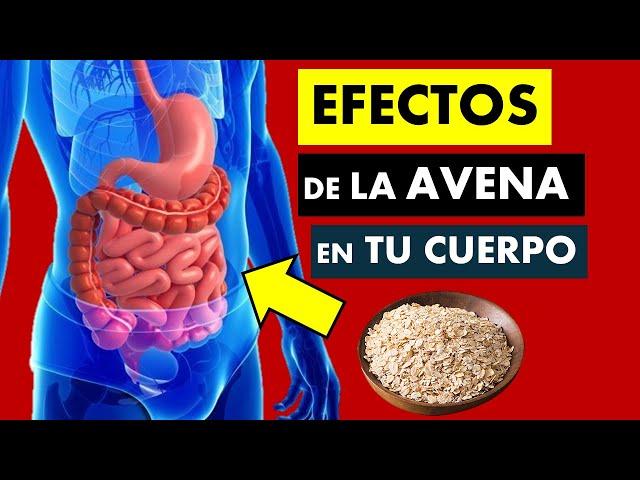  AVENA | INCREIBLES BENEFICIOS para TU SALUD | QUÉ PASA CUANDO CONSUMES AVENA TODOS LOS DÍAS