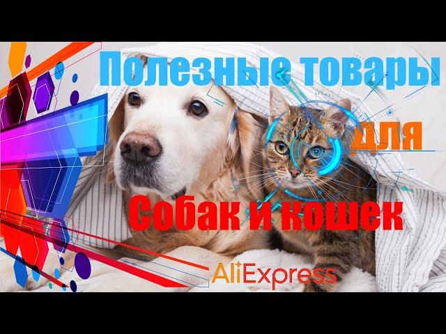 Полезные товары для собак и кошек с Алиэкспресс.  Aliexpress Зоо товары.