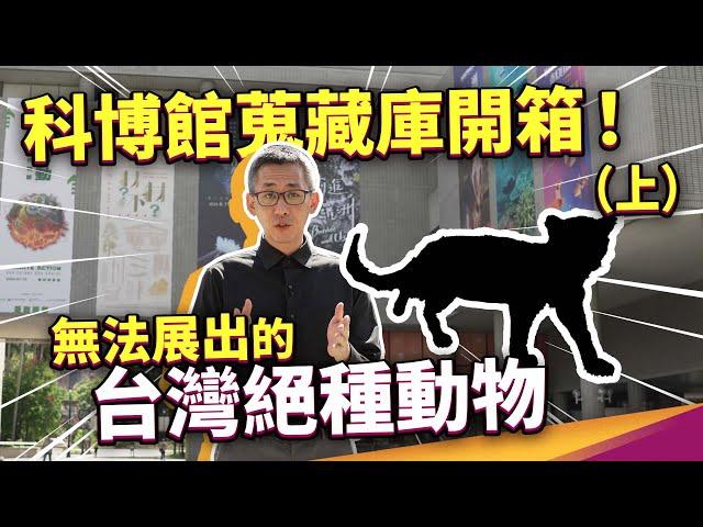 蒐藏高達169萬件！還包括無法展出的台灣已滅絕動物！？全台自然史蒐藏量最大的科博館，都蒐藏了哪些東西？化石是澎湖漁民撈上來的？標本是山產店來的？科博館蒐藏庫開箱（上集） ft. 國立自然科學博物館