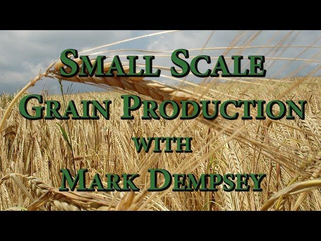 Small Scale Grain Production with Mark Dempsey