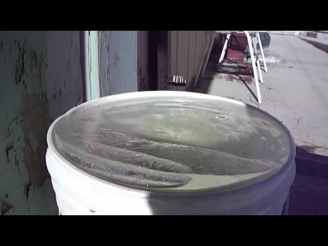 this thaw and the other