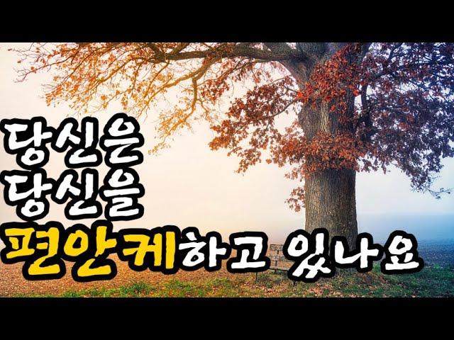당신은 당신을 편안케하고 있나요/세상을  잘 사는 방법/ 자신을 위하는 삶/휘둘리지 않는 삶/인생을 잘 사는 방법/ 삶을 잘 사는 방법