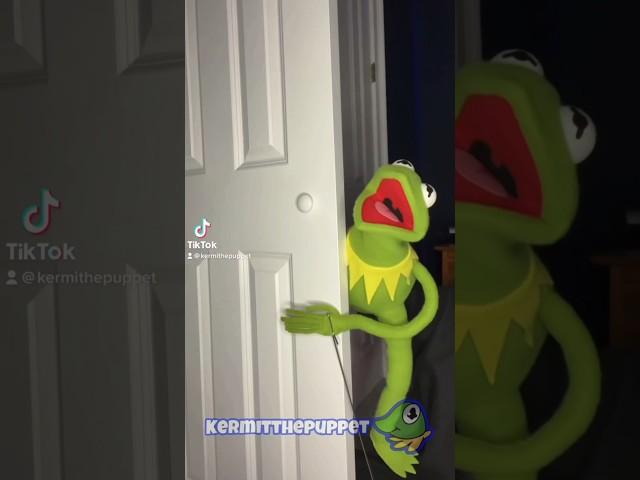 Kermit The Frog And The Spider Tiktok !!