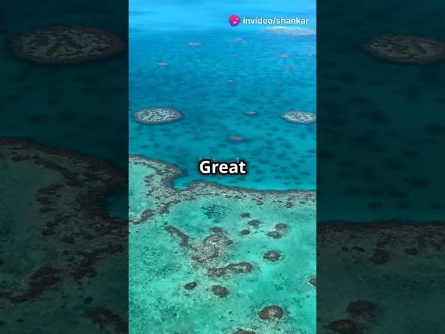 Mind - Blowing sea fact you Didn't know!