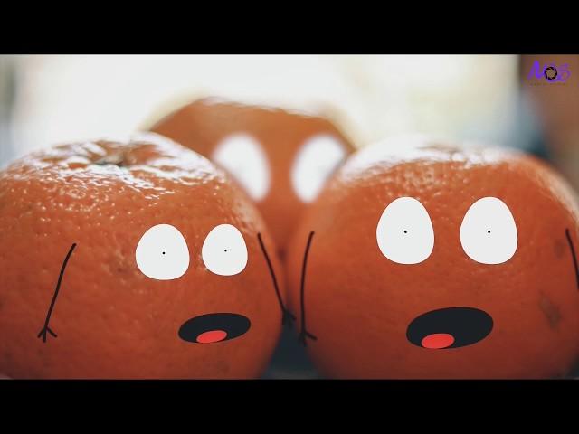 The Orange Story | Stopmotion