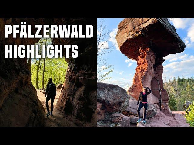 Pfälzerwald Sehenswürdigkeiten: Top-Highlights und schönste Orte