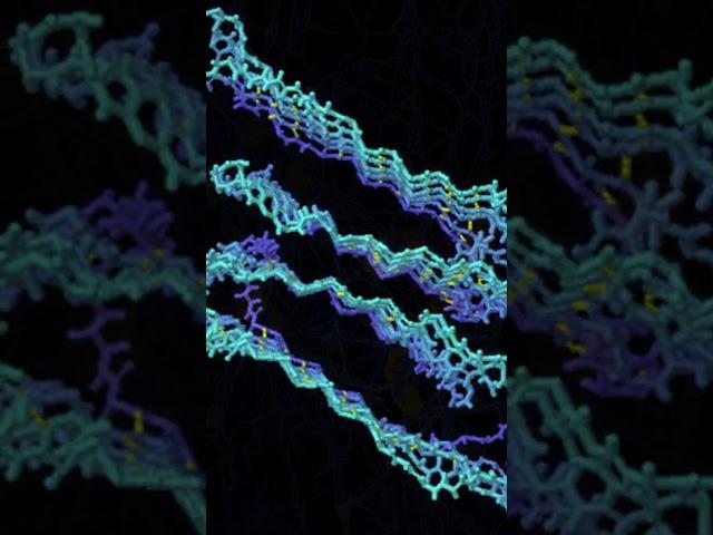 Alzheimer's Research in SPACE by Crew-4 | SpaceX Falcon-9 Launch to ISS #nasa #alzheimer