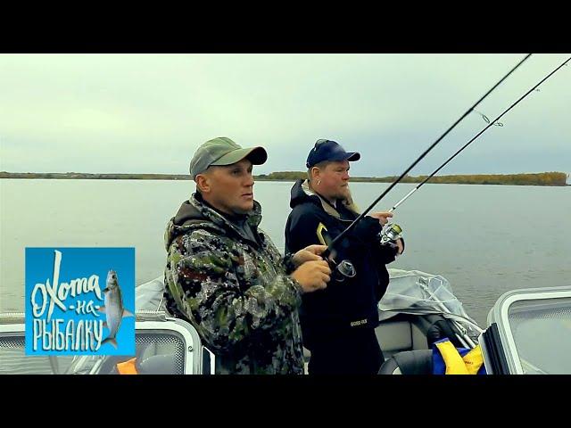 Язь. "Охота на рыбалку" с Вилле Хаапасало  Моя Планета