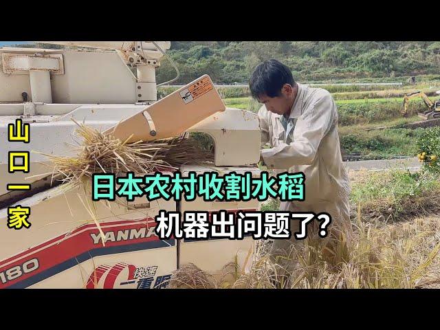 日本農村鄰居們都收完了，山口家才開始收割水稻，機器又罷工了？